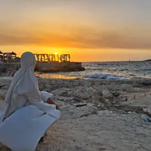 Garde, promenade animaux sur Lyon