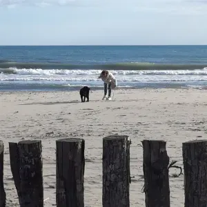 Service de ménage à domicile Saint-Malo