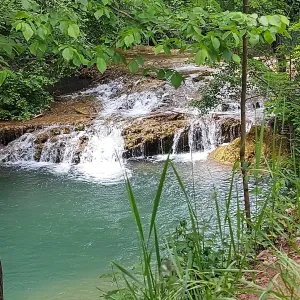 Heures de ménage - repassage-courses-repas
