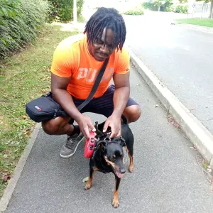 Je promène et / ou je garde votre chien chez vous