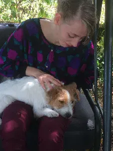 Garde d'animaux cet été et toute l'année