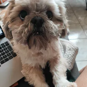 Garde ponctuelle pour quelques heures 