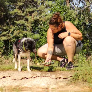 Recherche super dogsitter 