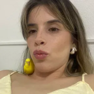 Pet sitting em Benfica, Ajuda e regiões próximas 