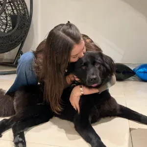 Pet Sitting, Dog Walking & Loving Care for Your Pets