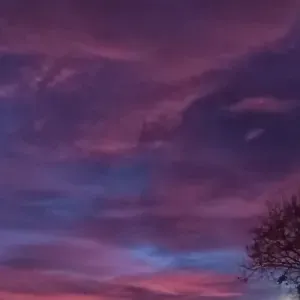 Agente d'entretien sur Toul et alentours 