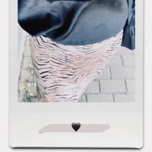 Serviço de pet sitting ao fim de semana