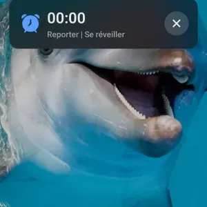 Prof particulier à ath et environ