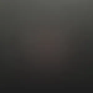 Fille de ménage disponible pour Bruxelles.