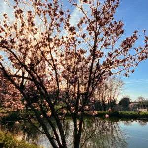 Aide à domicile à Luxembourg ( frontière belge)