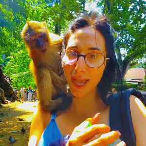 Babysitter professionista e affidabile