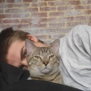 Pet sitter a Firenze, qualsiasi animale