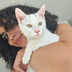 Pet-Sitter chat et chien au Mans