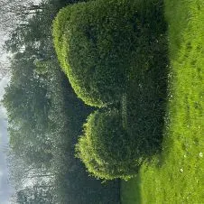 Nounou expérimenté à massy et environs 