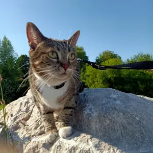 Garde d'enfants 1ère semaine chaques vacances scolaires 