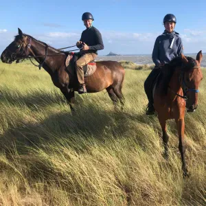 Nous recherchons une assistante maternelle :)