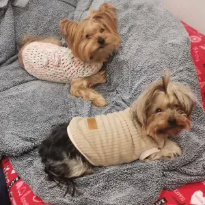 Posição para um cuidador – Cuidados a idosos em Amarante