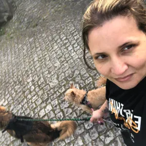 PET sitting cães e gatos na zona norte