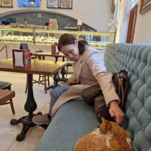 Loving Cat Boarding in My Home ❤️