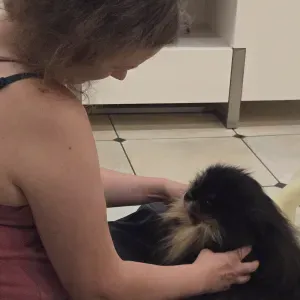 Pet-Sitter à Brie-Comte-Robert et alentours