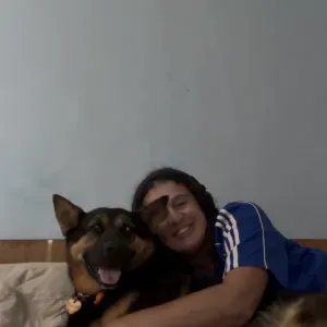 Pet care in owners house , Pet walking service