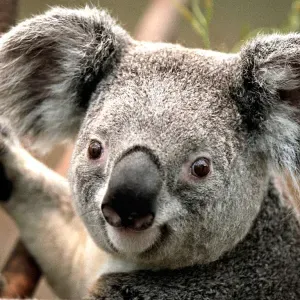 Baby sitter sortie d'ecole le vendredi 