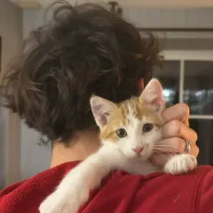 Pet sitting sérieux et attentionné 