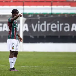 Pet sitting em Lisboa para todos 