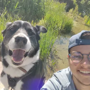 Disponible pour garder/promener votre animal de compagnie