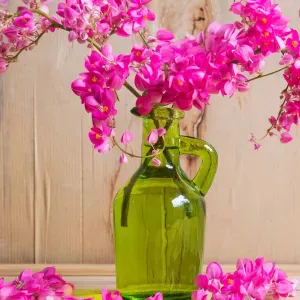 Garde d'enfants a domicile avec de l'expérience!!