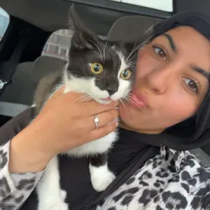 Pet-Sitter passionné & attentionné à Marseille !