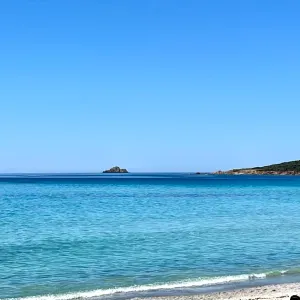 Auxiliaire de vie auprès des personnes âgées et handicapées 