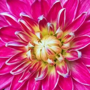 Mag& menages alentours milhac 