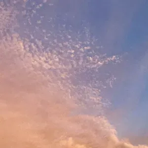 Votre Marie Poppins des Temps Modernes 