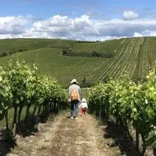 Full time or Part time Cleaner needed in Torres Vedras.