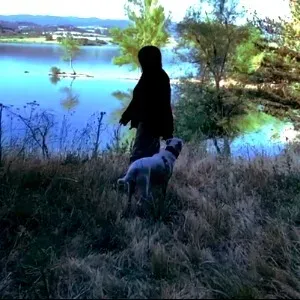 Pet Sitter con esperienza Provincia di Cosenza