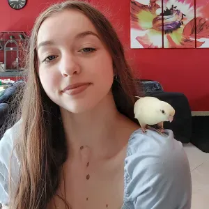 Garde de nacs et oiseaux