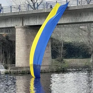 empregada de limpeza responsável em Santo Tirso