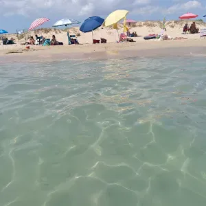 Cerco babysitter  con esperienza e automunita.