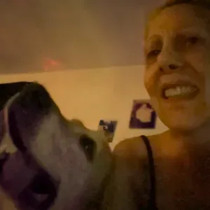 Pet sitting pensione casalinga Briaglia 