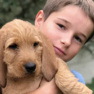 pet-sitter situer à Neuilly sur Seine 