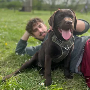 Pet sister sûr savonnière et les alentours
