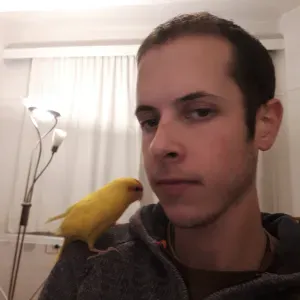 Aide à domicile à Dinant et aux environs