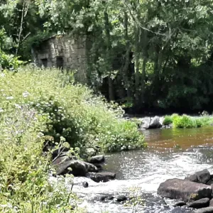 Empregada doméstica, zona Paredes, Cete