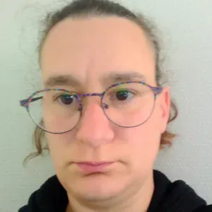 Femme de ménage /repassage a malleloy 