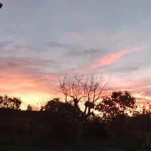 Aide a domicile boulazac et ses alentours 