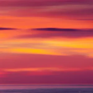 cuidador de animales en madrid