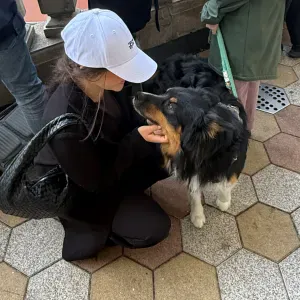 Gare de chiens en Saint-Guilles