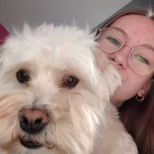 dog sitter a Villers bretonneux 