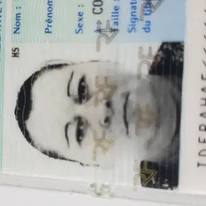 Pet Sitter à  Laxou champ le boeuf 